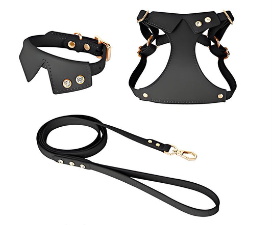 Custom Name Luxury Leather Pet Harness & Leash Set