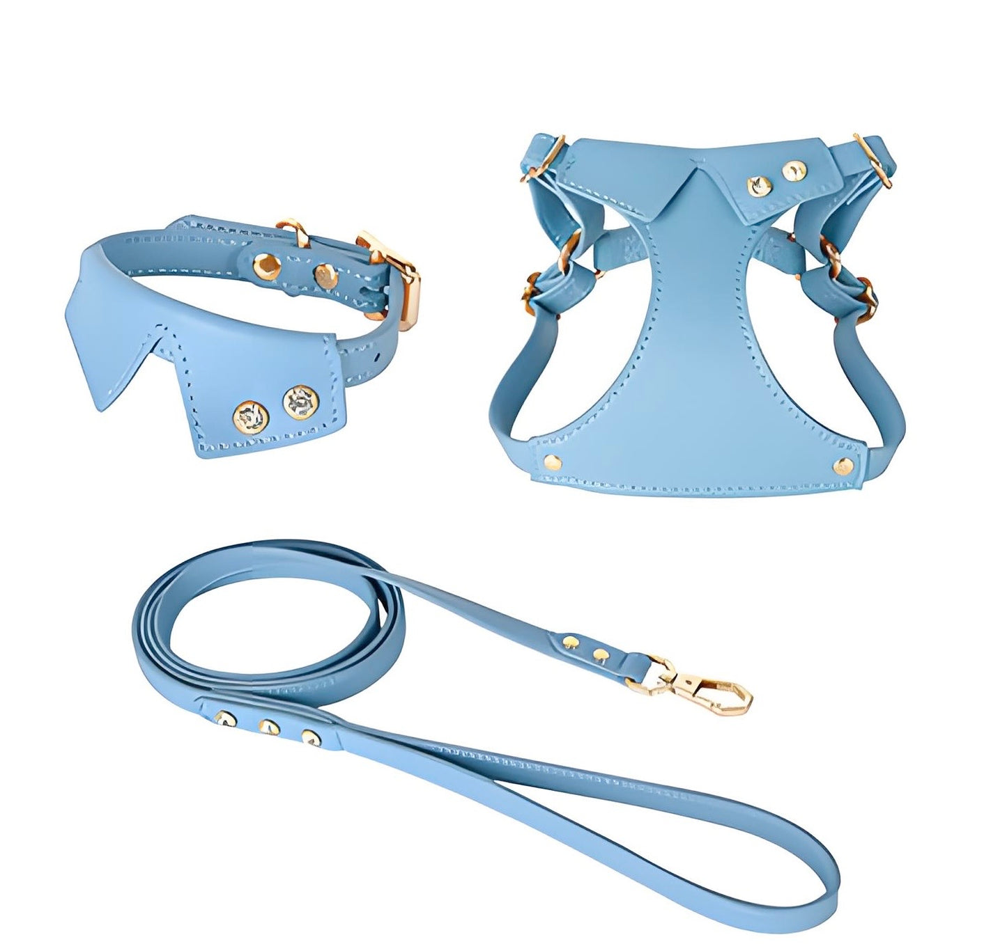 Custom Name Luxury Leather Pet Harness & Leash Set